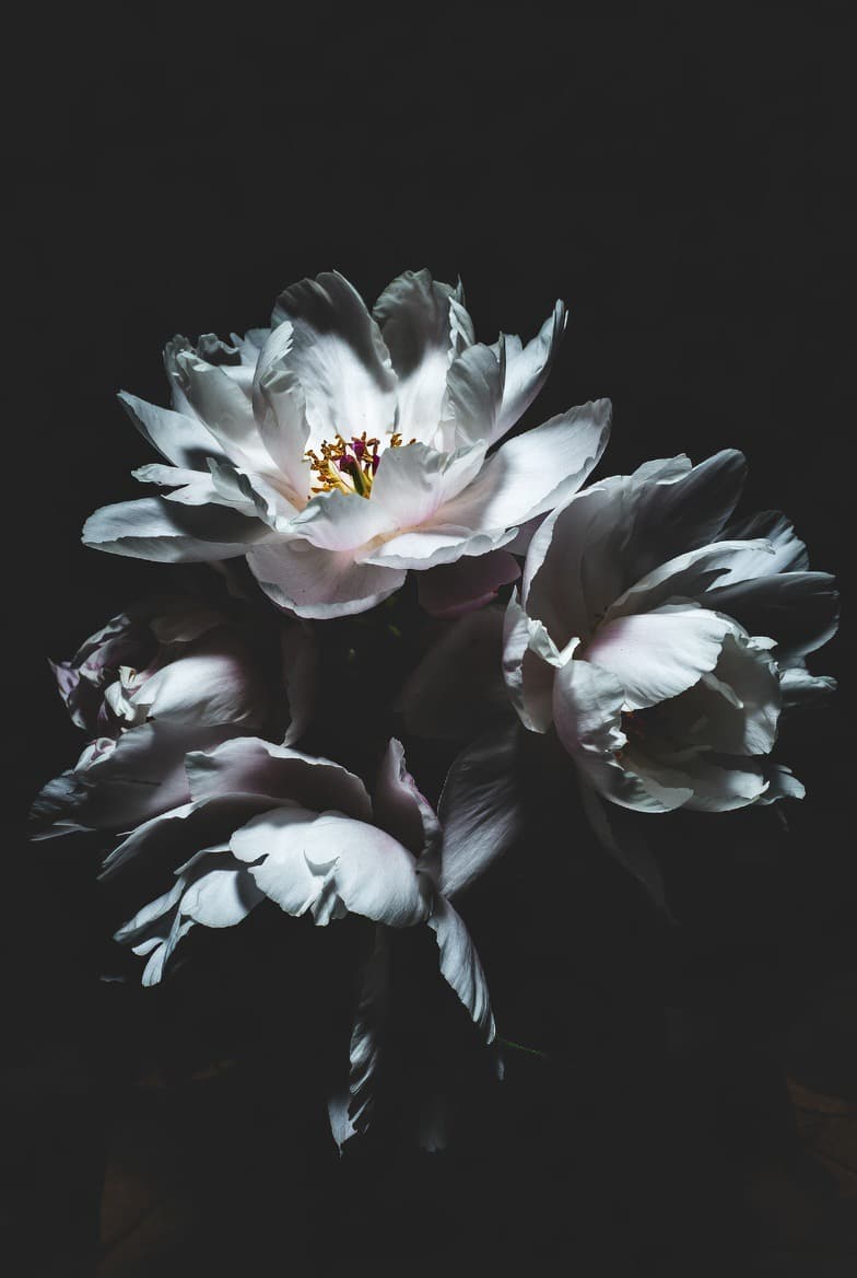 Aldéhydé Floral