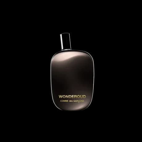Wonderoud — Comme Des GarçOns