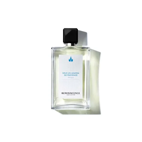 Sous Un Mimosa De Provence — Reminiscence